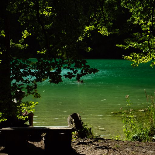 Rechlin Müritz Nationalpark