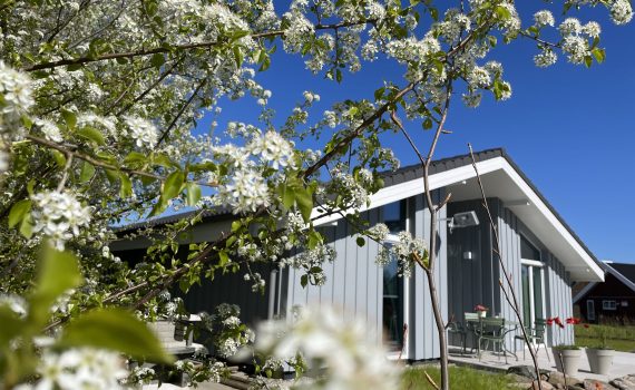 Haus Emilia fotografiert aus Gartensicht