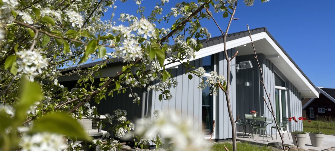 Haus Emilia aus Gartensicht (cut)